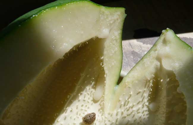 青木瓜怎么吃才丰胸？