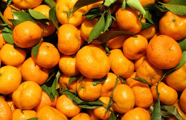 吃橘子有什么好处？