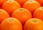 孕妇可以吃橘子吗？