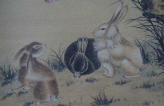属兔的几月出生最好