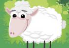 属羊的人和什么属相最配？