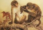 属猴的人几月出生最好？