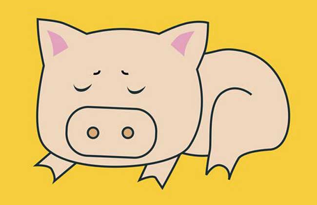 属猪的人几月出生最好？