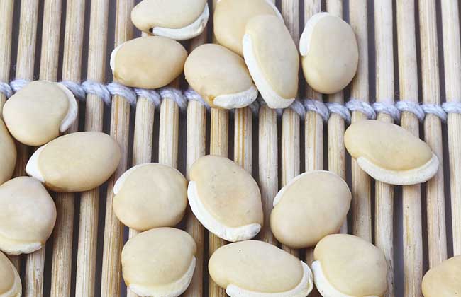 白扁豆的功效与作用