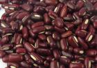 吃赤小豆能减肥吗？
