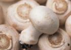 白灵菇和杏鲍菇的区别