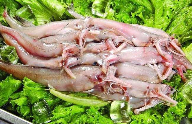 龙头鱼炒青菜