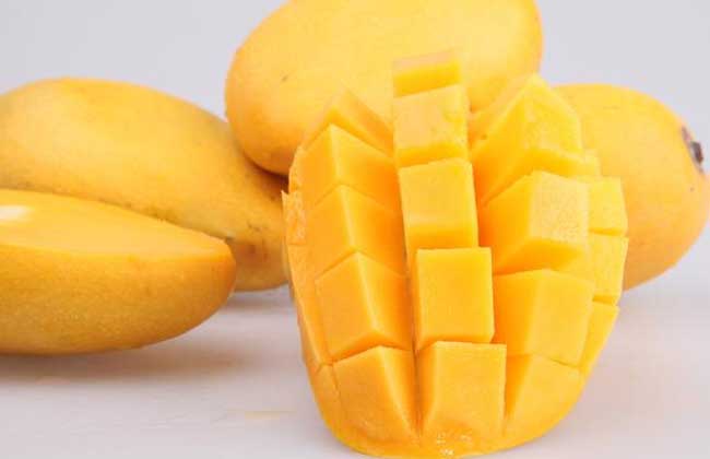 吃芒果可以减肥吗