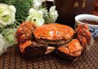 大闸蟹什么季节吃最好？