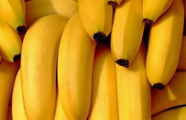 香蕉醋减肥法