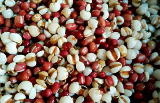 红豆和薏米有什么功效