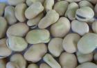 蚕豆价格多少钱一斤？