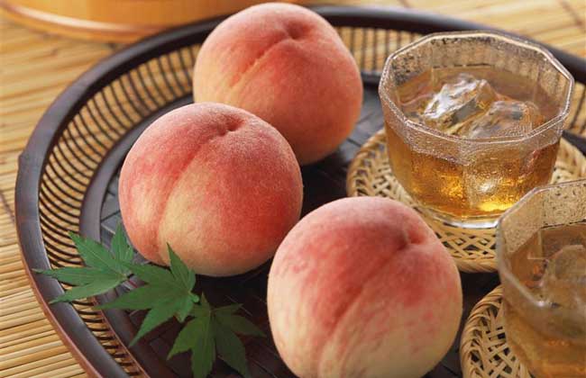 桃子是凉性还是热性