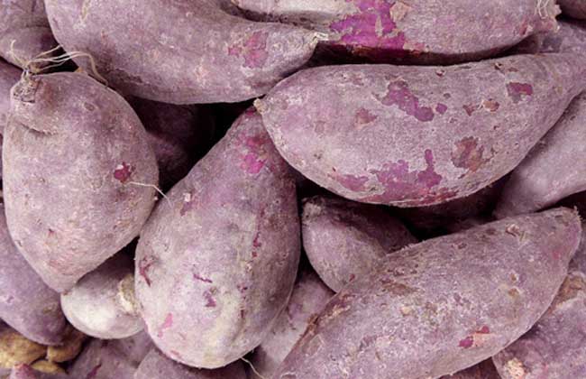 紫薯不能和什么一起吃？