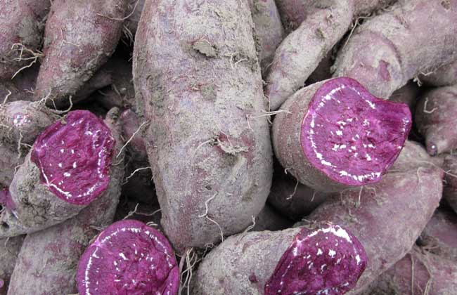 紫薯蒸着吃还是煮着吃？