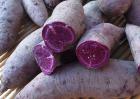 紫薯发芽了还能吃吗？