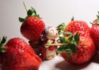 激素草莓的辨别方法以及食用危害