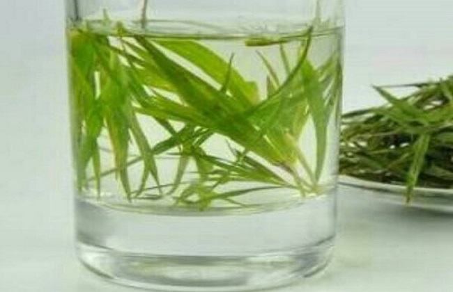 竹叶泡水喝的功效与作用