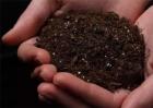 土壤酸碱度对土壤的影响