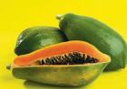 木瓜怎么种植才能高产