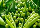 怎样种植豌豆