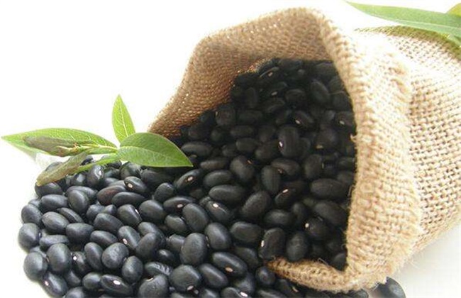 黑豆 注意事项 种植