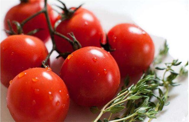 西红柿 方法 防治