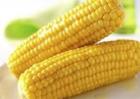 如何预防玉米高温危害