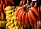 红香蕉多少钱一斤
