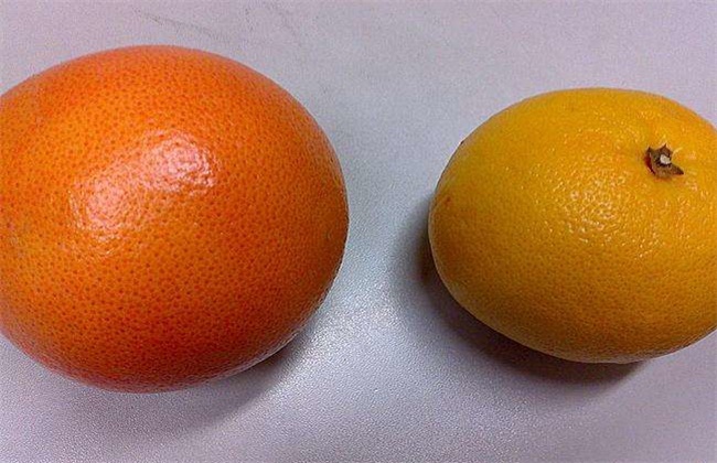 葡萄柚和西柚的区别
