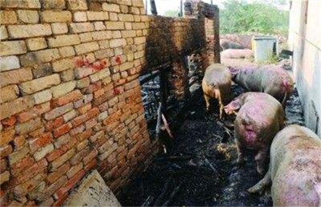养猪场 如何预防 火灾