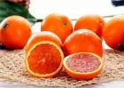 血橙和普通橙子有什么区别