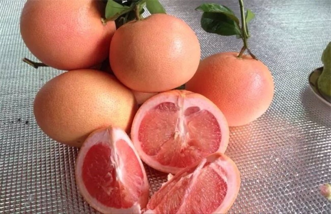 柚子的有哪些品种