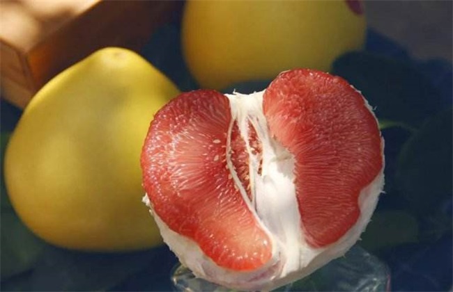 红肉蜜柚 栽培 技术