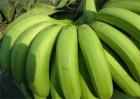 香蕉价格多少钱一斤