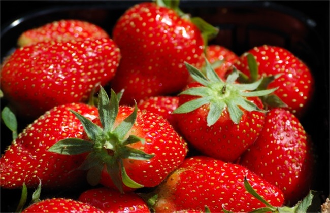 草莓多少钱一斤