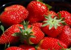 草莓多少钱一斤