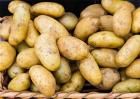 土豆价格多少钱一斤