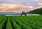 未来农业生产发展趋势