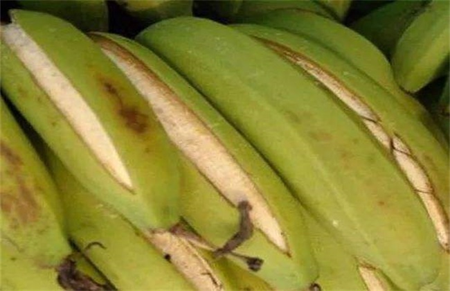 香蕉裂果的预防措施