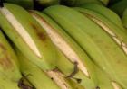 香蕉裂果的预防措施