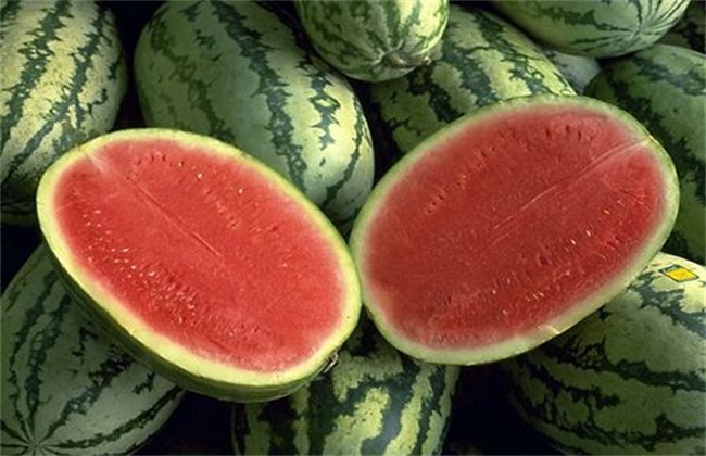 西瓜 常见品种 图片