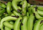 香蕉水烂原因及预防方法