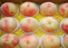 阳山水蜜桃多少钱一斤