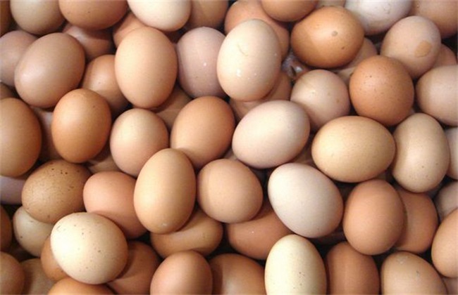 2019鸡蛋多少钱一斤