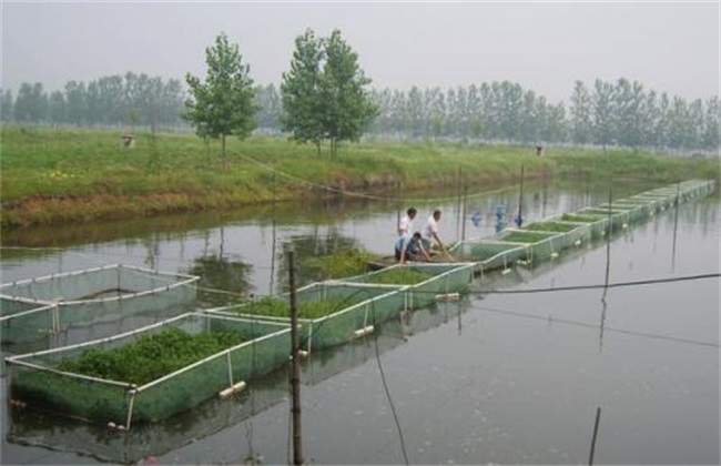 水产养殖行业常见风险