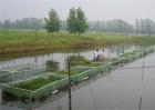水产养殖行业常见风险