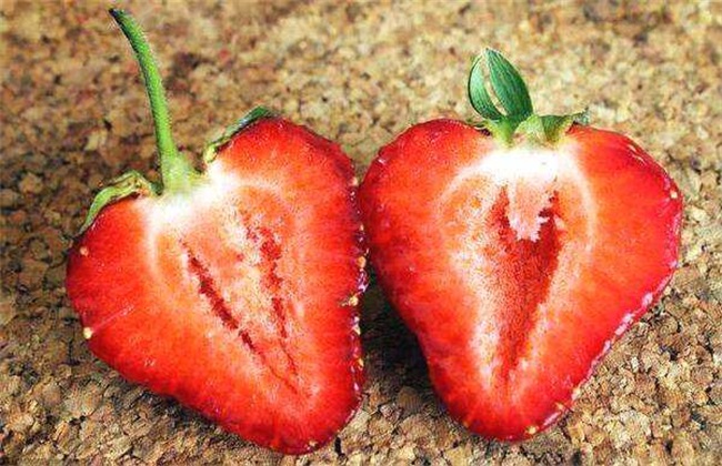 草莓空心 什么原因