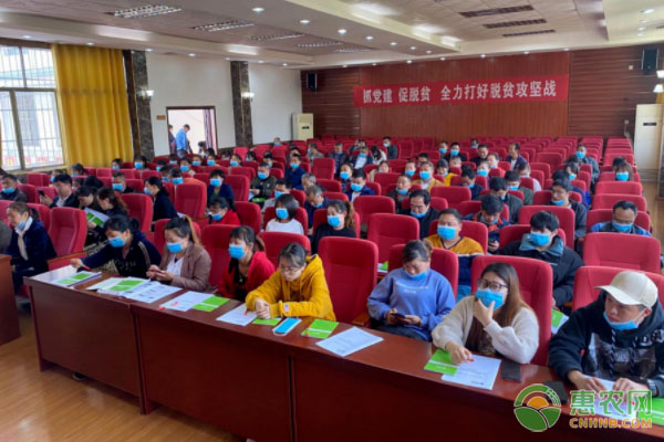 新邵县举办电商培训 助推青年创业