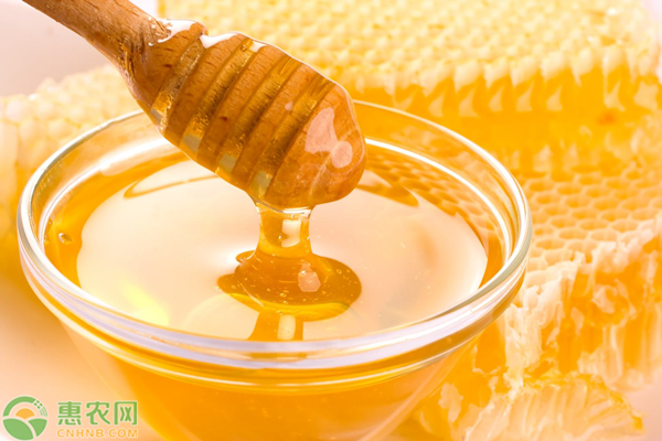 2020蜂蜜批发价多少钱一斤？影响蜂蜜价格变化因素分析